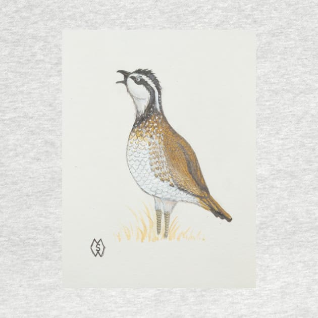 A bobwhite quail whistling a call by Matt Starr Fine Art